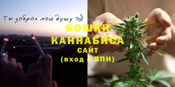 прущие грибы Покровск