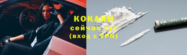 прущие грибы Покровск