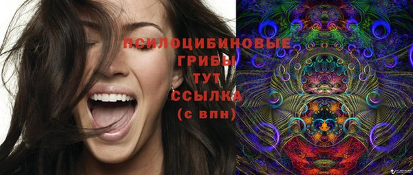 метадон Покачи