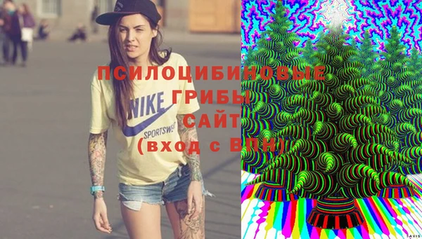 метадон Покачи