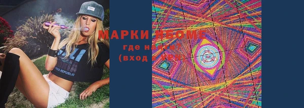 прущие грибы Покровск