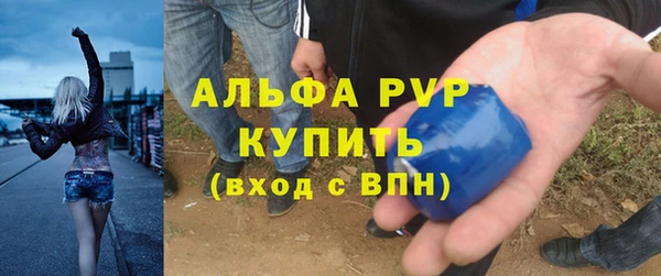 прущие грибы Покровск