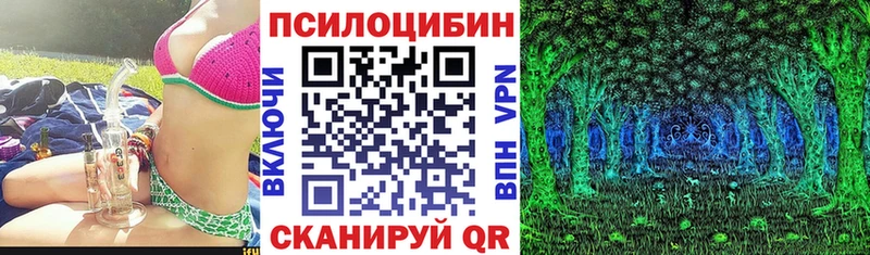 Купить  Кочубеевское  Псилоцибиновые грибы Psilocybine cubensis 