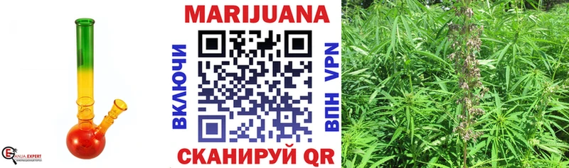 Канабис конопля  Купить где  Кочубеевское 